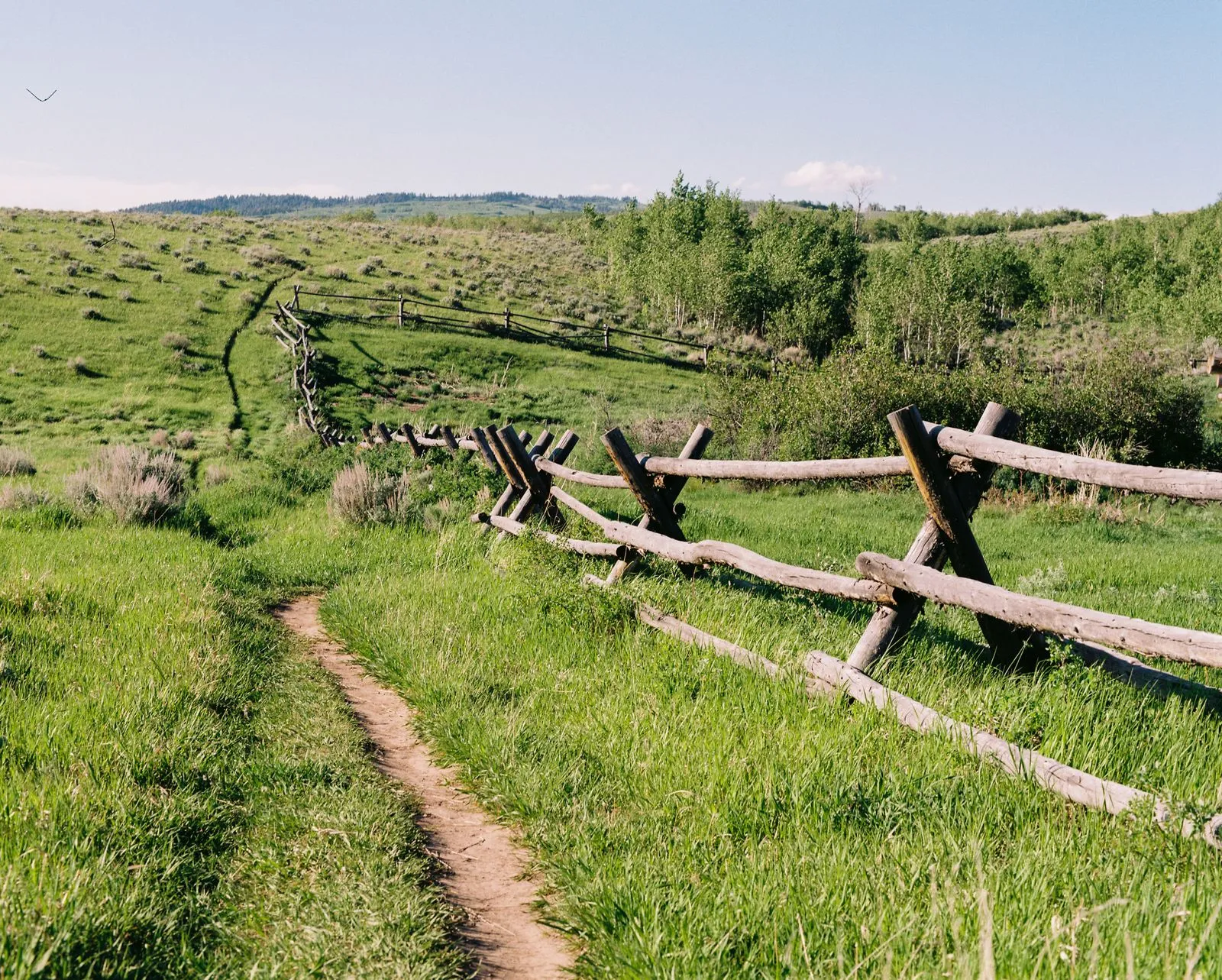 How to Build a Cross-Country Training Base